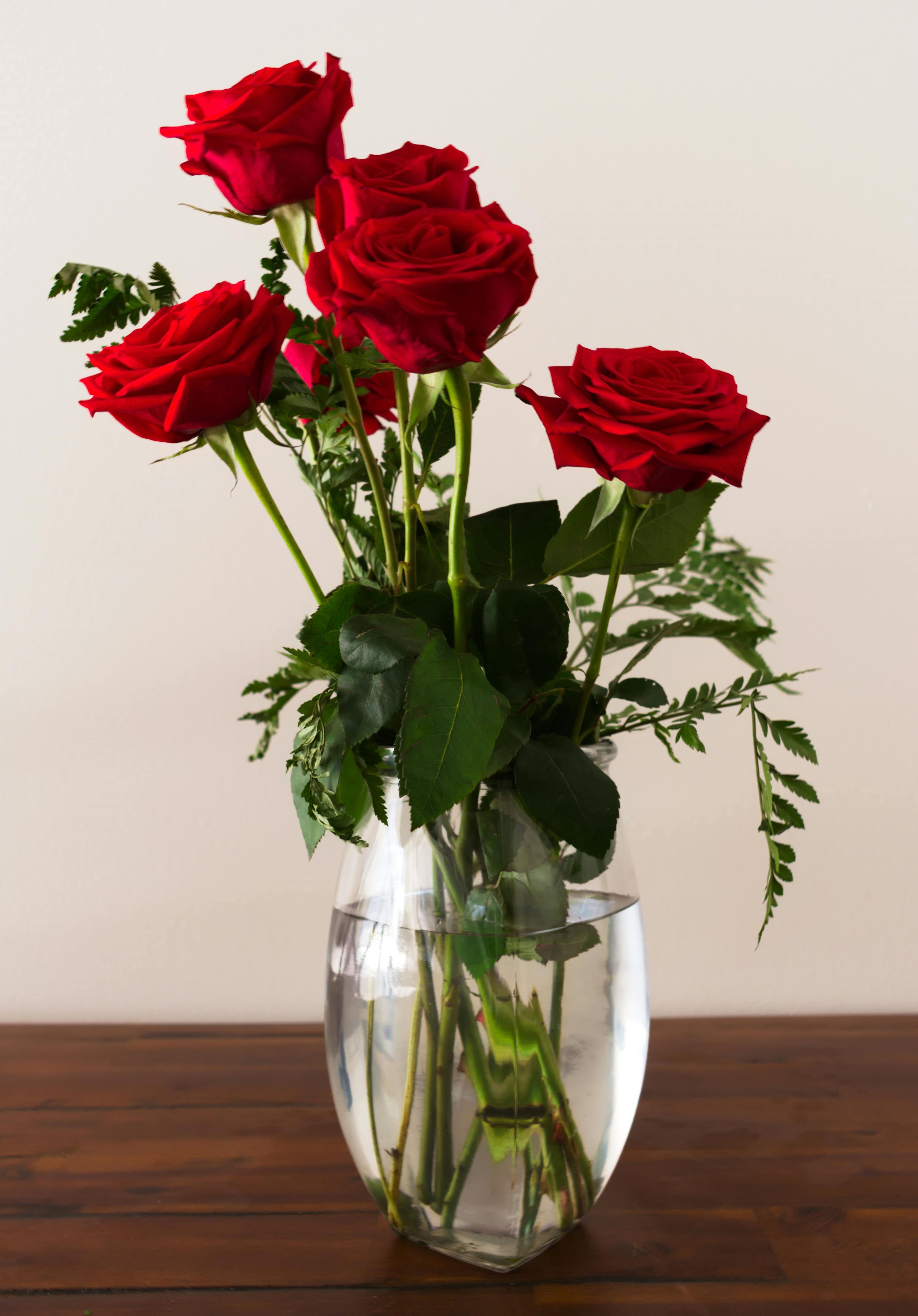 vase with red roses